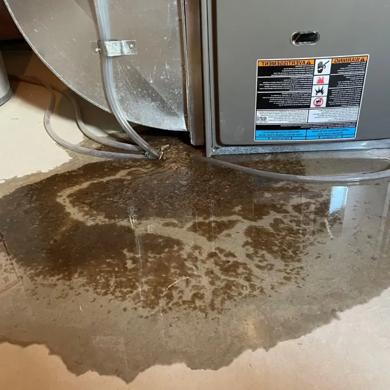Pipe Burst and Leak Restoration in Garrett, IN